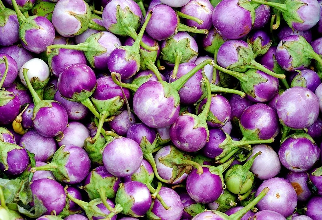 Hạt Giống Cà pháo chùm tím