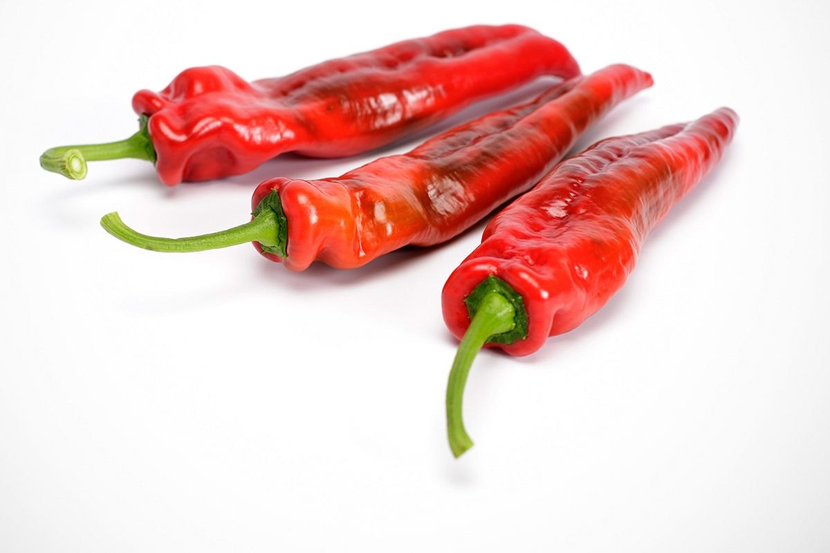 175_2.sweetpalermo-pepper-infographic-recognize-1 Hạt Giống Ớt sừng ngọt Palermo đỏ