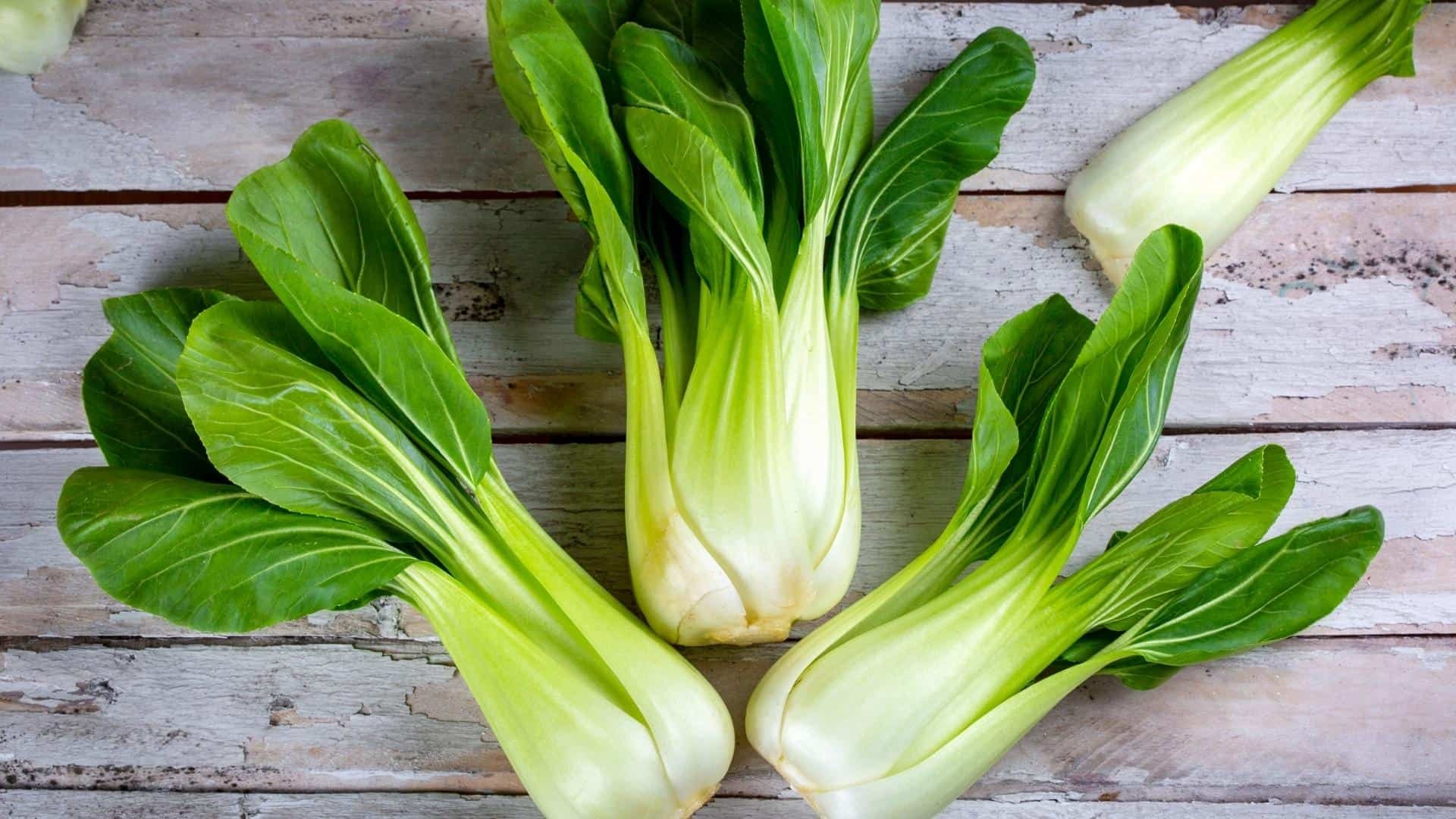25 Hạt Giống Cải thìa xanh ( pokoy xanh )