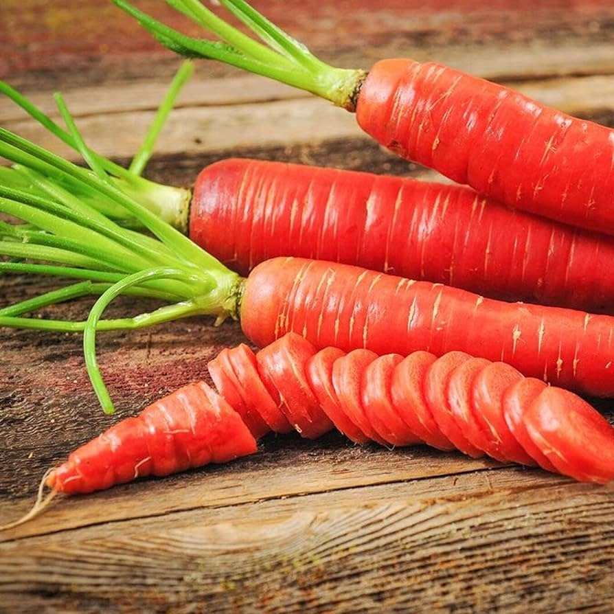 Hạt Giống Cà rốt đỏ