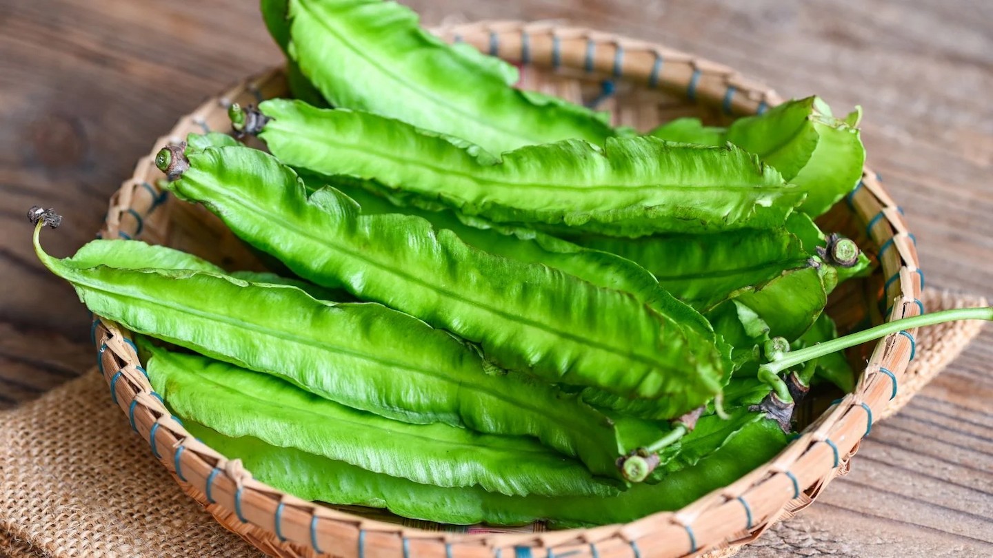 Hạt Giống Đậu rồng xanh