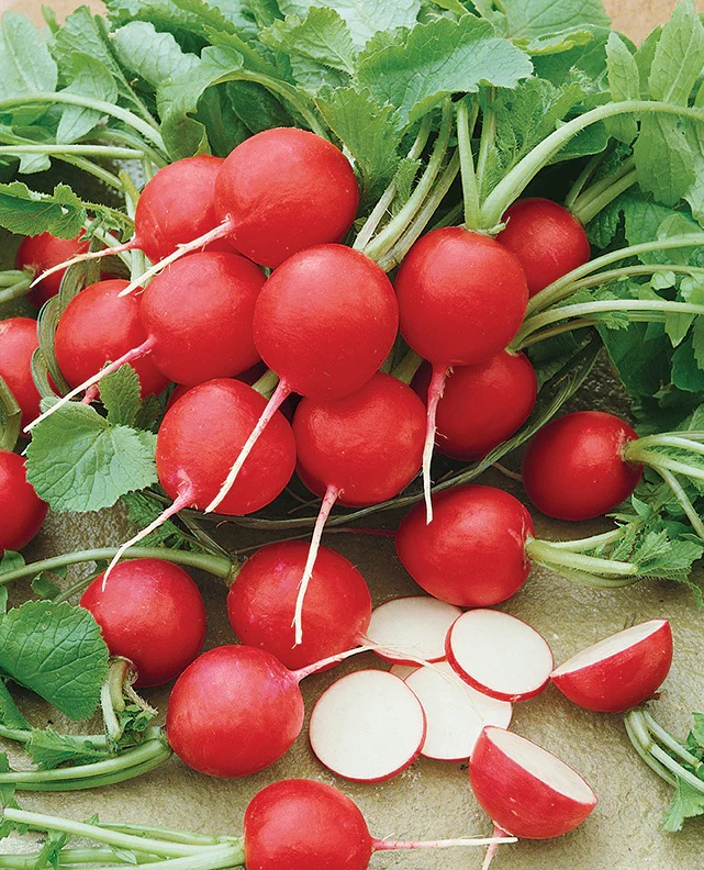 CherryBelleRadish Hạt Giống Củ cải cherry đỏ