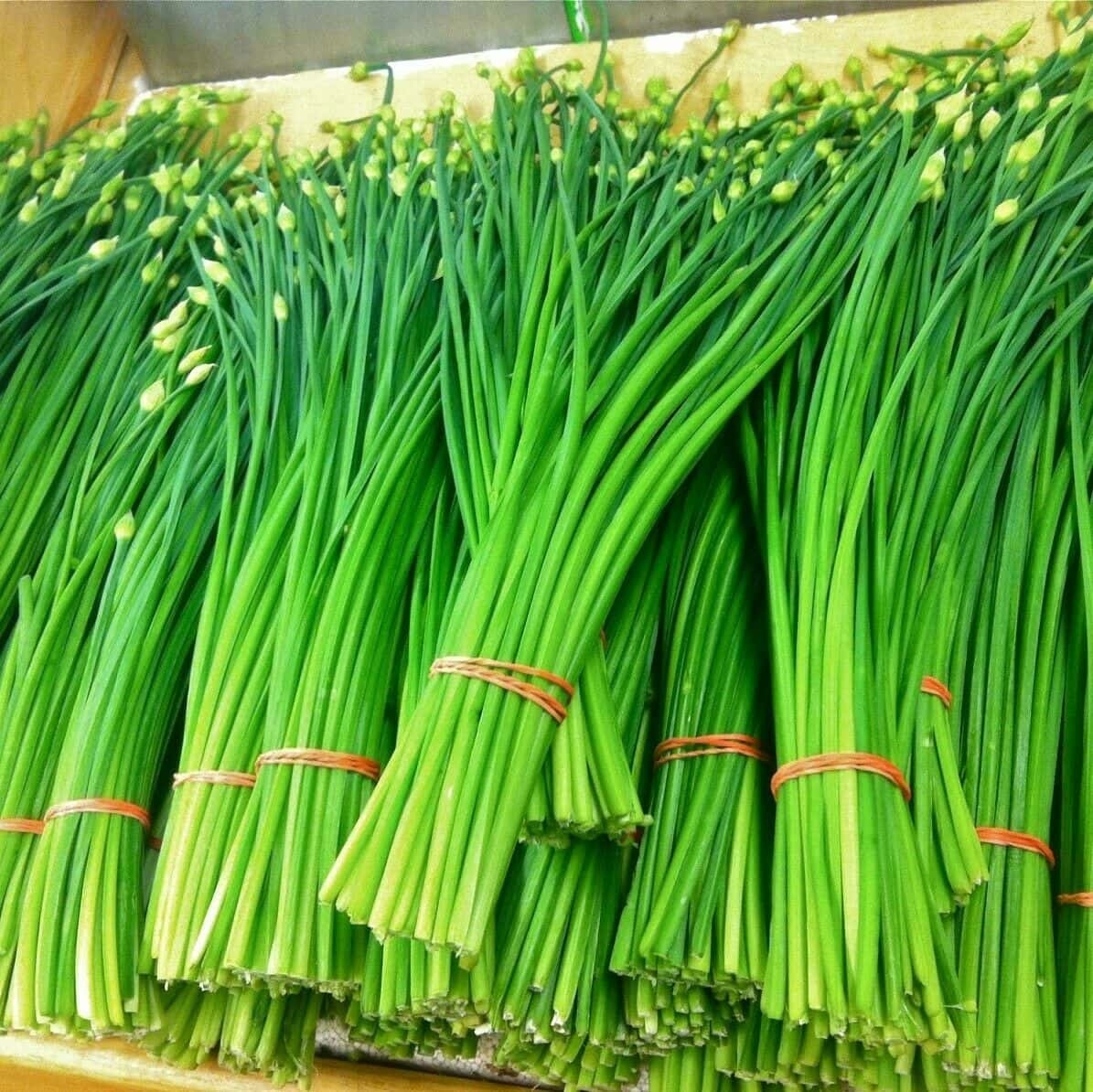 Garlic-Chives-1 Hạt Giống Hẹ ngồng ăn bông
