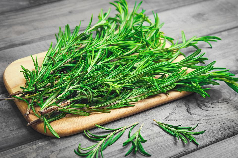 Rosemary-Skewers-16379-41223c741a-1526683053 (1) Hạt Giống Hương thảo