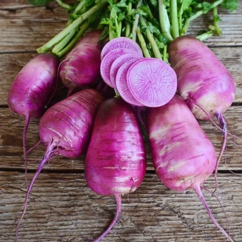 Hạt Giống Củ cải tím Daikon F1