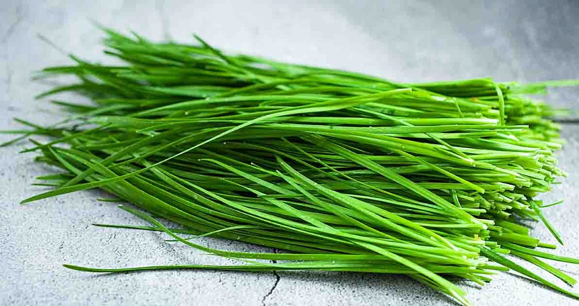 fresh-garlic-chives Hạt Giống Hẹ lá F1
