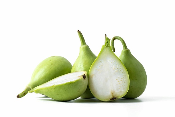 Hạt Giống Bầu gáo YuGi F1