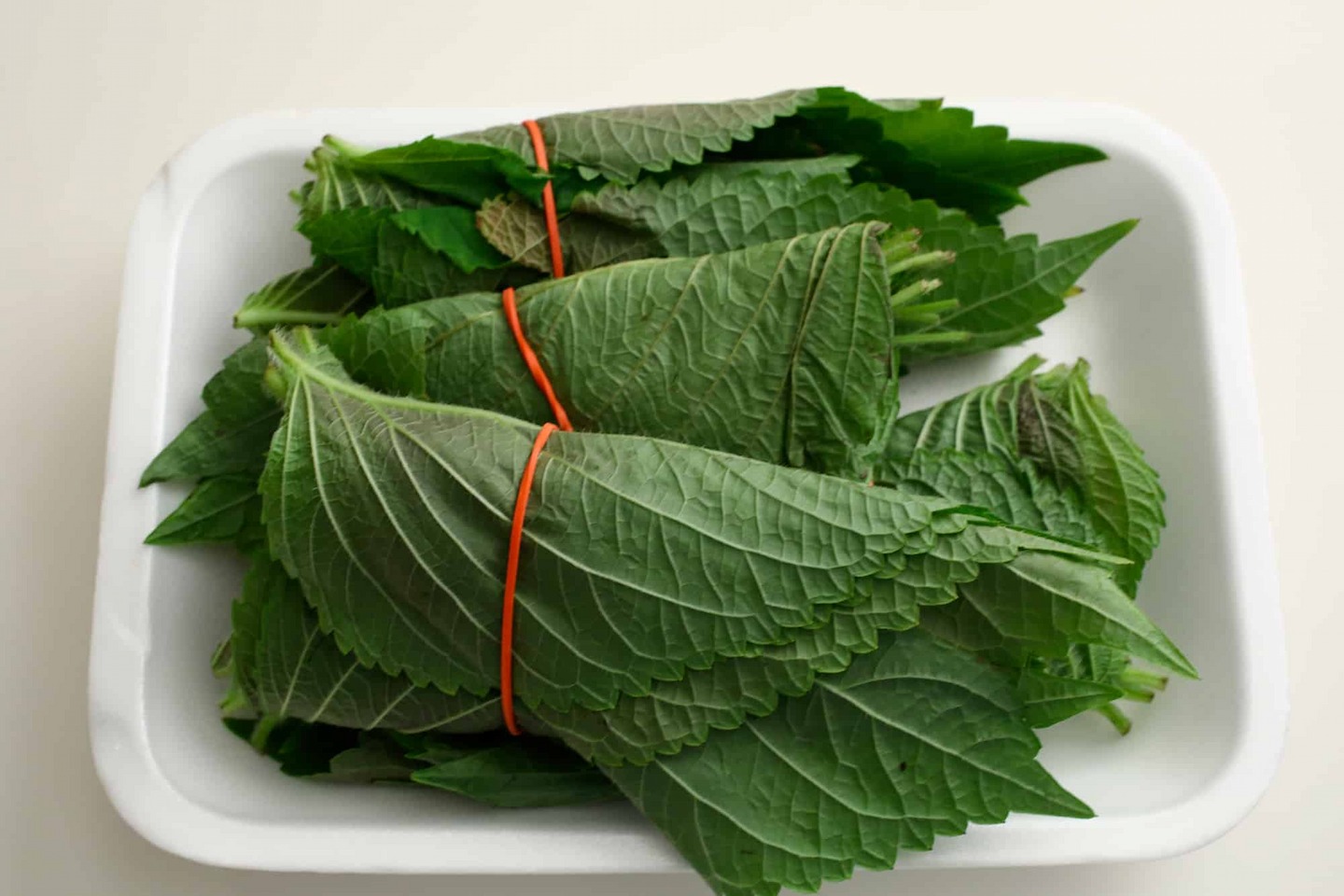 Hạt Giống Lá mè Hàn Quốc