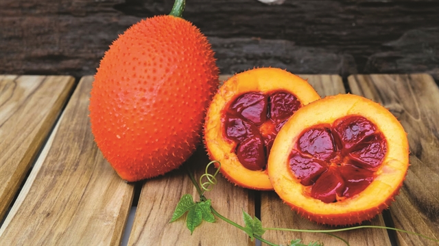 Hạt Giống Gấc đỏ