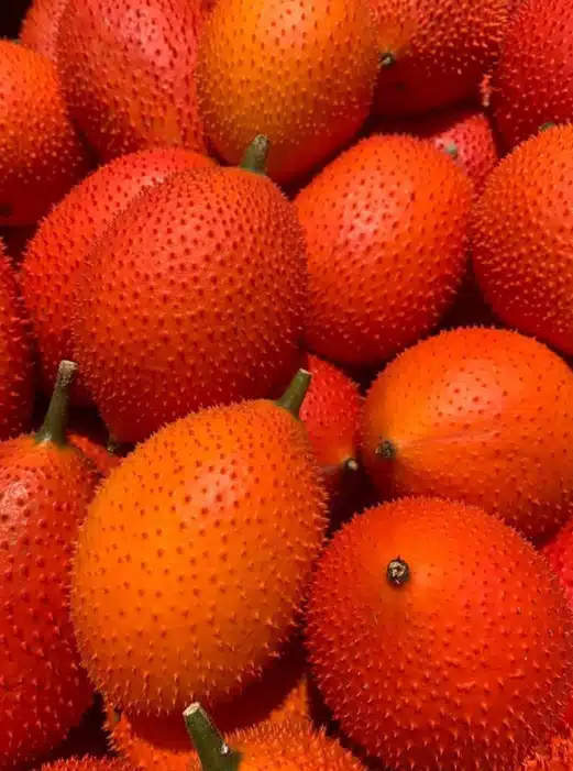 Hạt Giống Gấc đỏ
