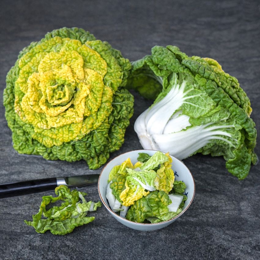 bok-choy-yellow-winter-heart-lss-dsc_5657 Hạt Giống Cải thần tài