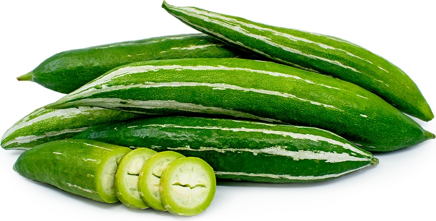 Hạt Giống Lặc Lè
