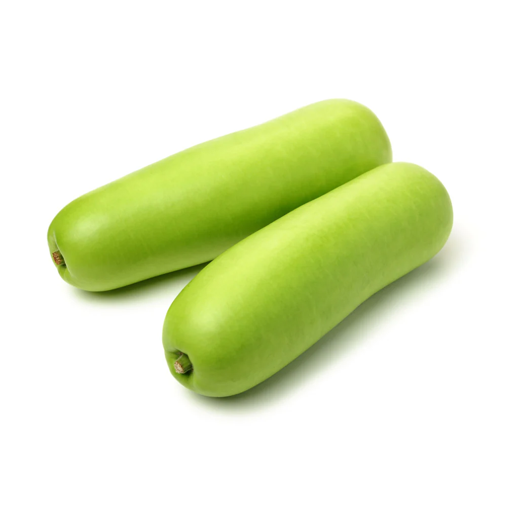 Hạt Giống Bầu Vĩnh Lạc F1
