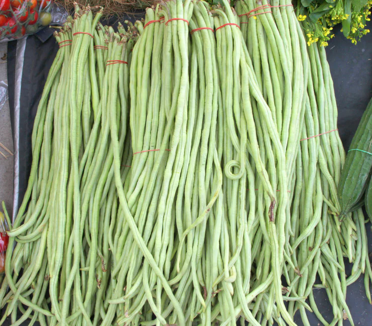 Hạt Giống Đậu Đũa Trắng