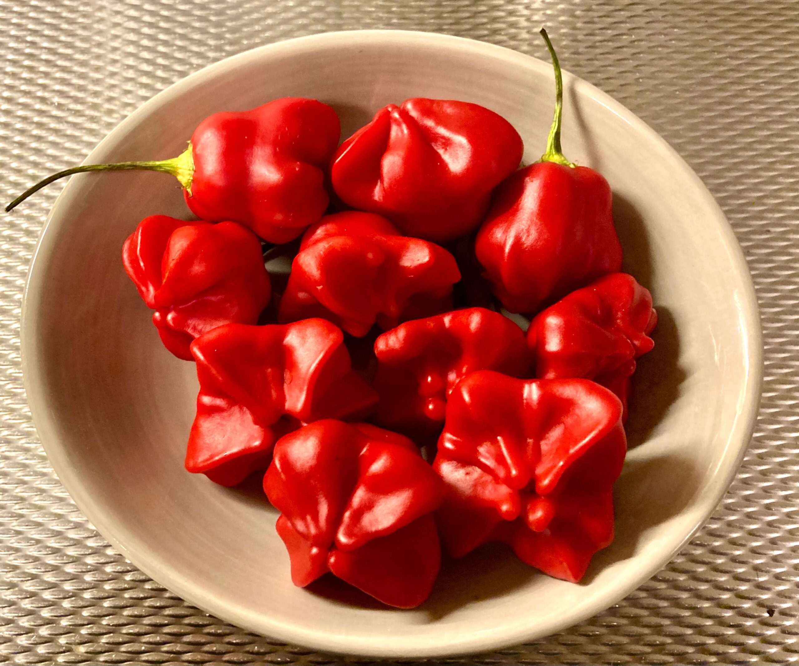 Hạt Giống Ớt Hoa Hồng