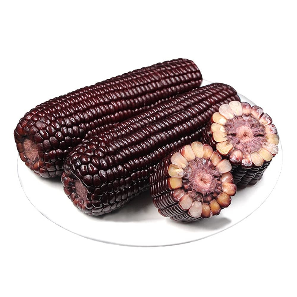 Hạt Giống Ngô Tím Thái Lan