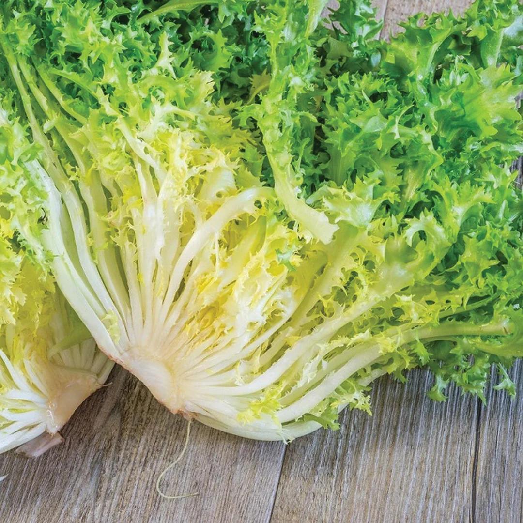 Hạt Giống Xà Lách San Hô