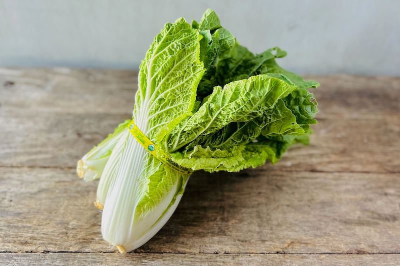 OG_20baby_20napa_20cabbage Hạt Giống Cải Thảo Ăn Non