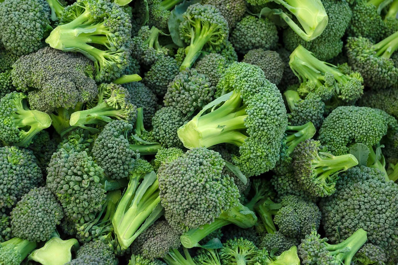 broccoli Hạt Giống Súp Lơ Xanh F1