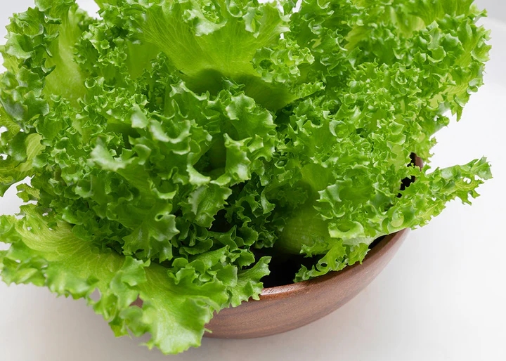 Hạt Giống Xà Lách Thủy Tinh
