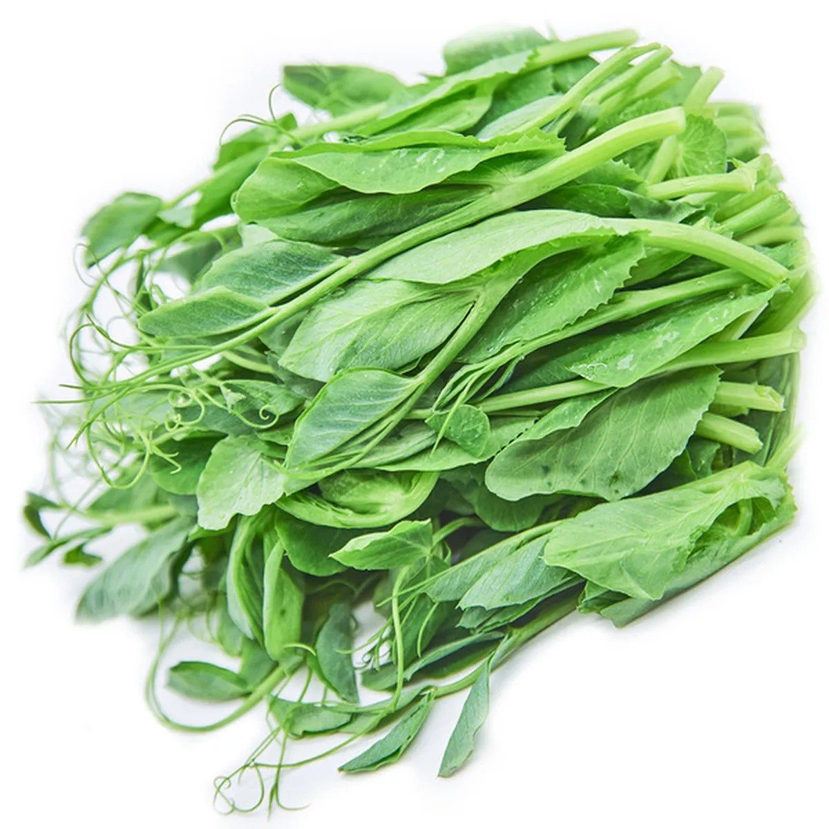 Hạt Giống Đậu Hà Lan Ăn Lá