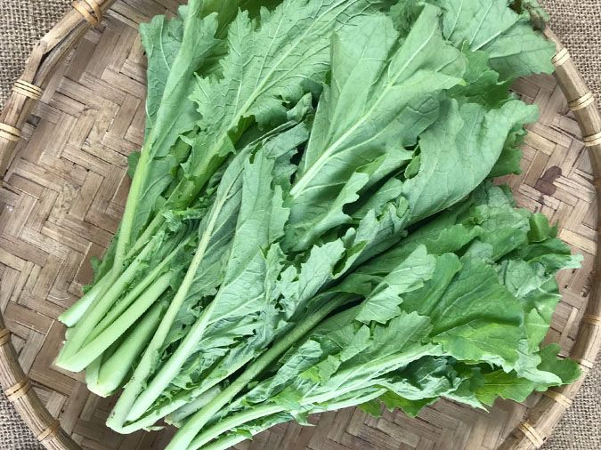 rau-cai-meo-2 Hạt Giống Cải Mèo Bẹ